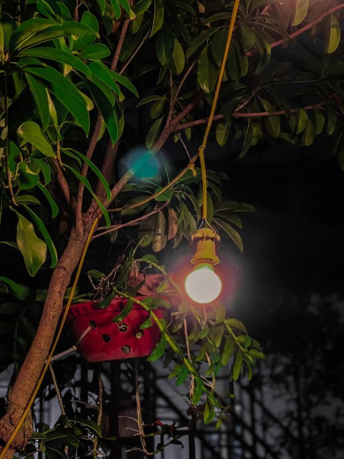 Tam Coc Sunrise Homestay Νιν Μπιν Εξωτερικό φωτογραφία